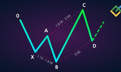 Video Course Pips & Profit Masterclass